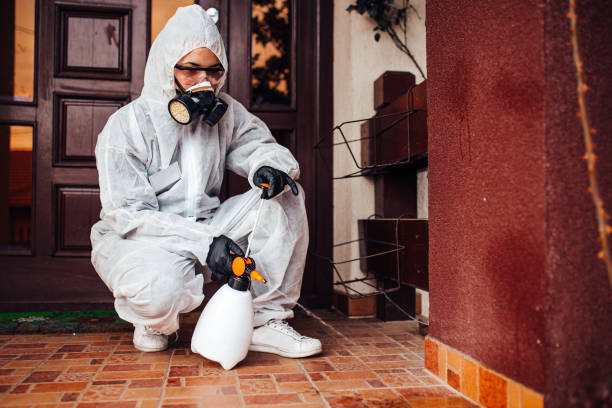 Attic and Crawl Space Rodent Treatment in Pheasant Run