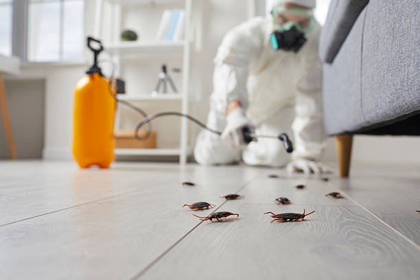 Commercial Rodent Management in Pheasant Run